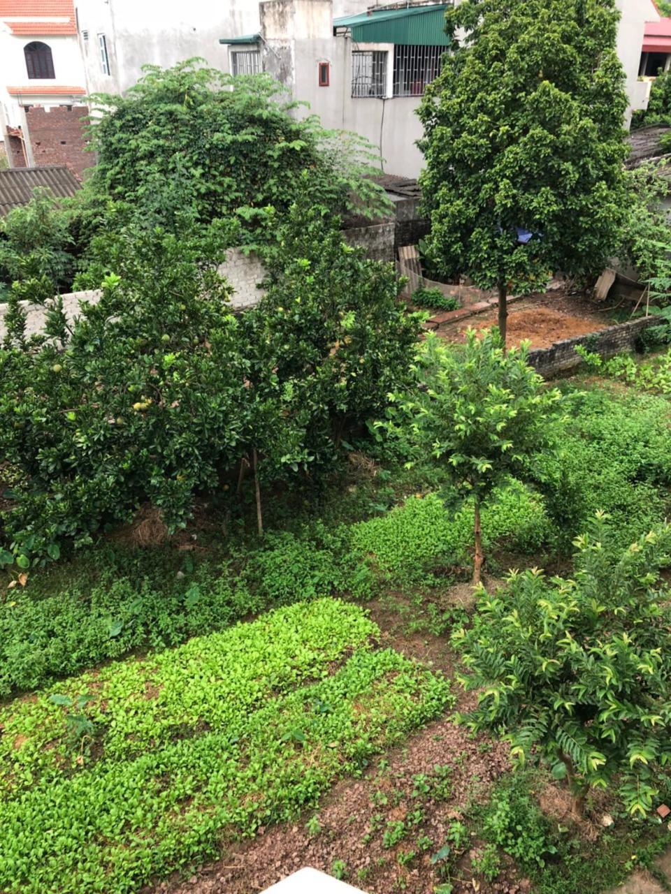 Tam Coc - Thanh Homestay نينه بينه المظهر الخارجي الصورة